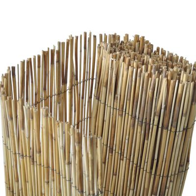 vidaXL Garden Reed Fence 196.9"x49.2"