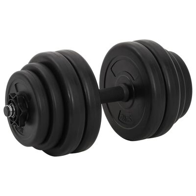 vidaXL Dumbbells 2x33.1 lb