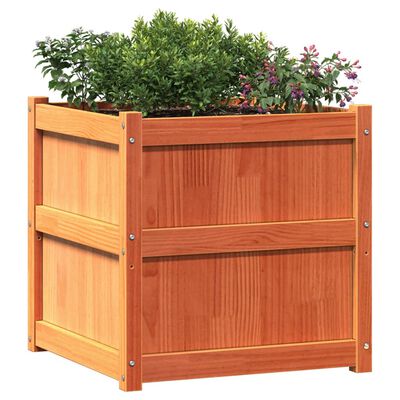 vidaXL Garden Planter Wax Brown 23.6"x23.6"x23.6" Solid Wood Pine