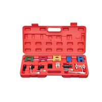 19 pcs Engine Timing Adjustment Locking Tool Kit