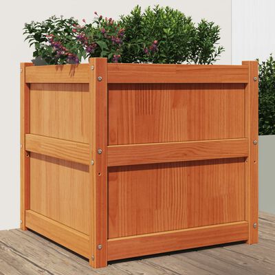 vidaXL Garden Planter Wax Brown 23.6"x23.6"x23.6" Solid Wood Pine