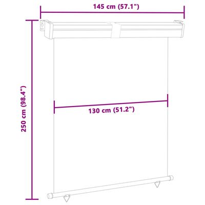 48424 vidaXL Balcony Side Awning 57.1"x98.4" Black