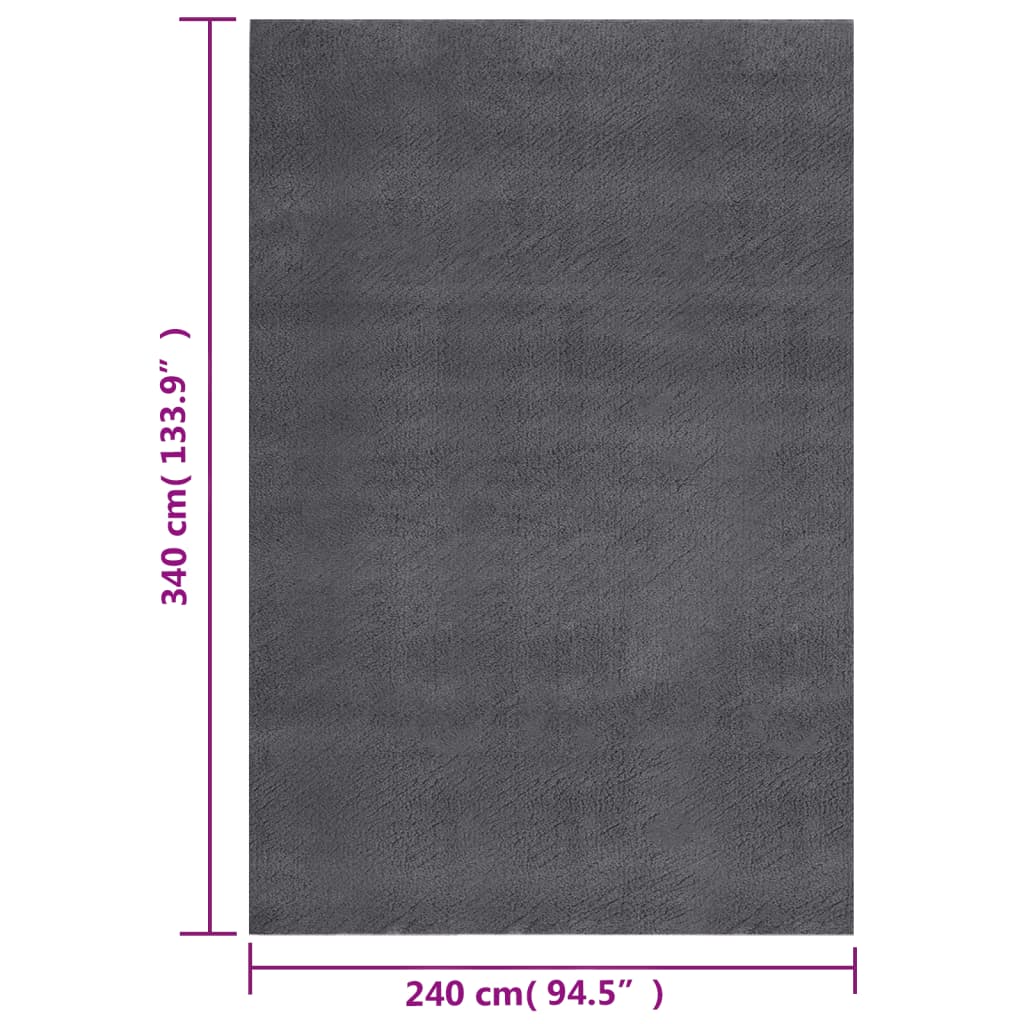 vidaXL Shaggy Rug Anthracite 8'x11' Polyester