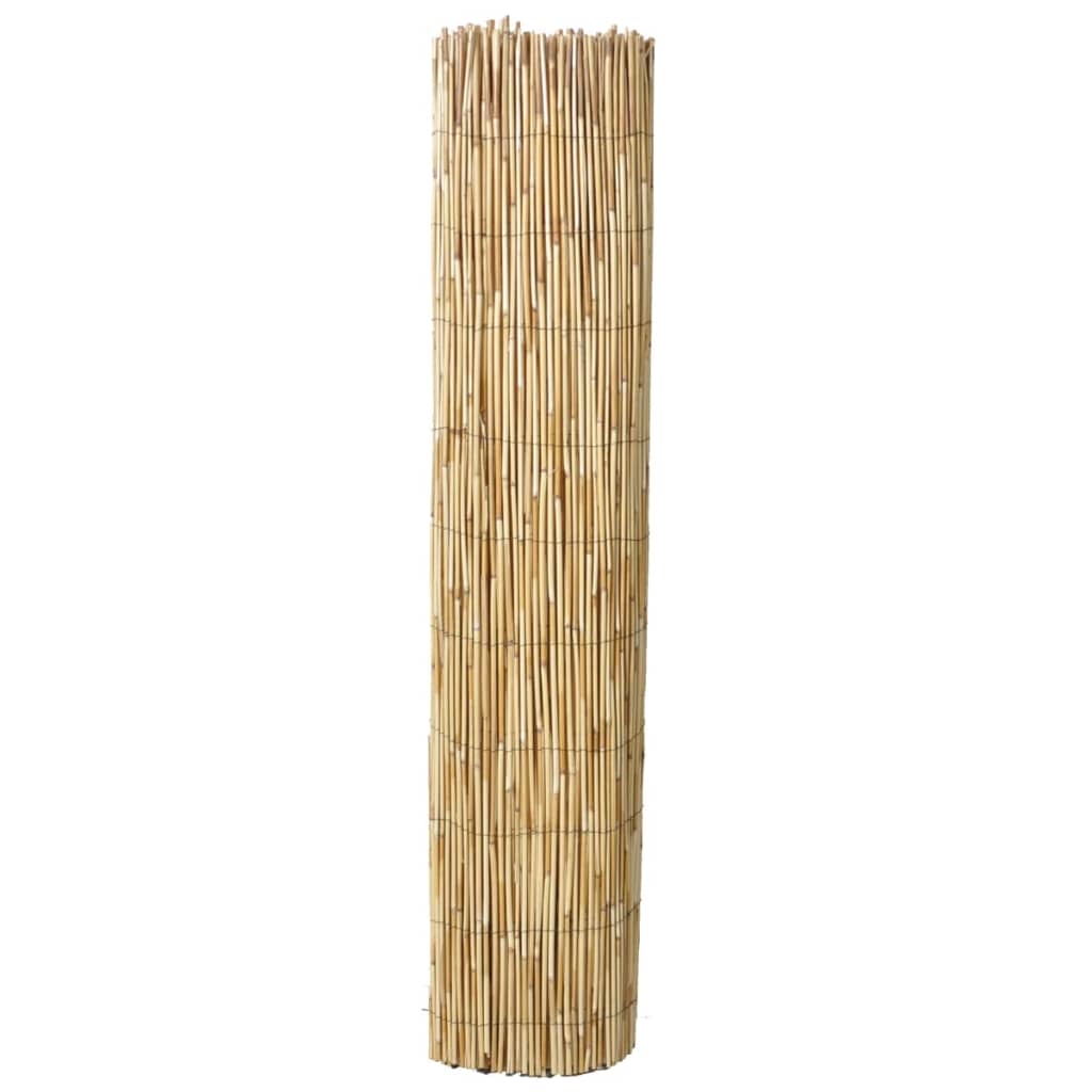 vidaXL Garden Reed Fence 196.9"x49.2"