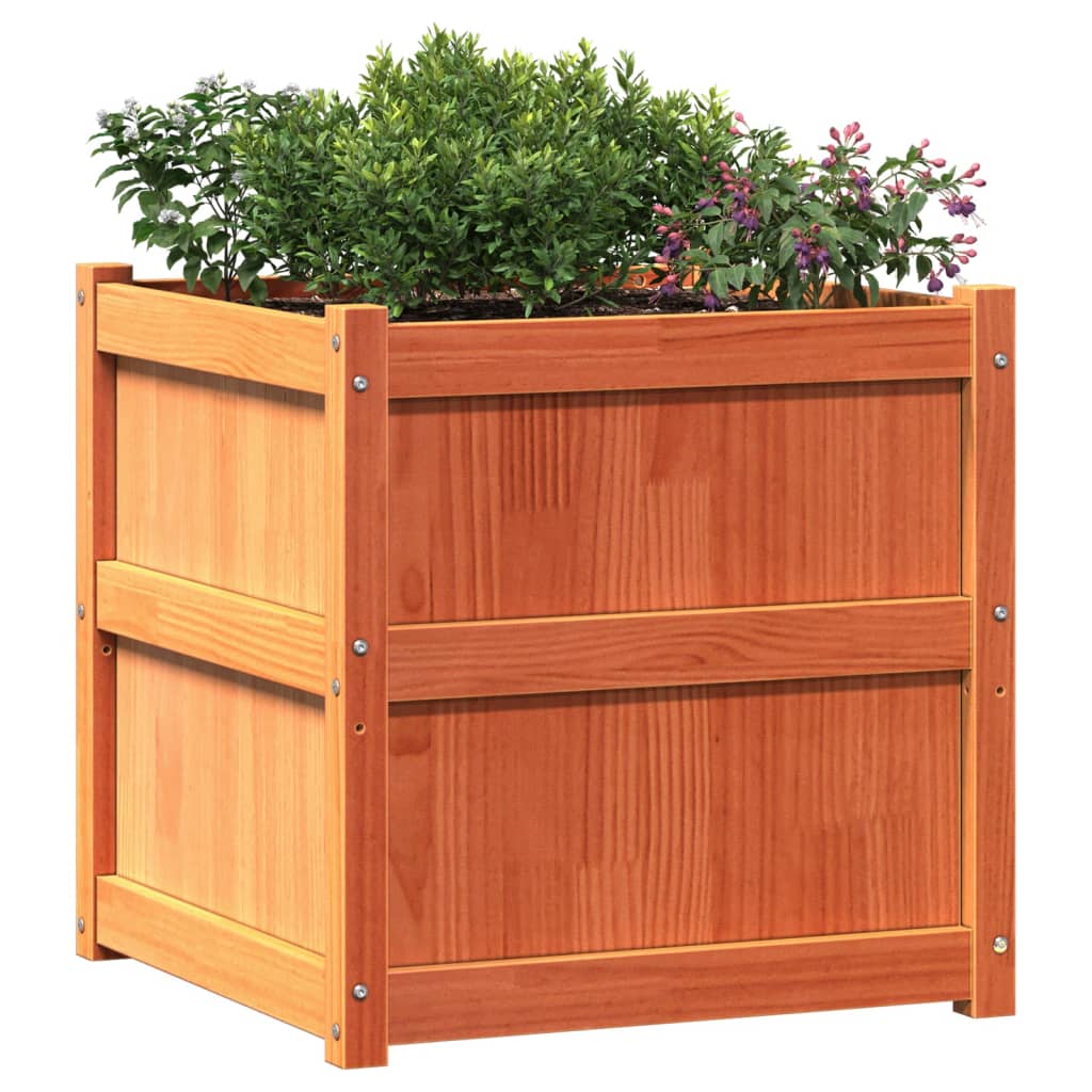 vidaXL Garden Planter Wax Brown 23.6"x23.6"x23.6" Solid Wood Pine